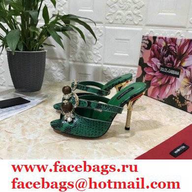 Dolce  &  Gabbana Crystal Heel 10.5cm Python Mules Green 2021